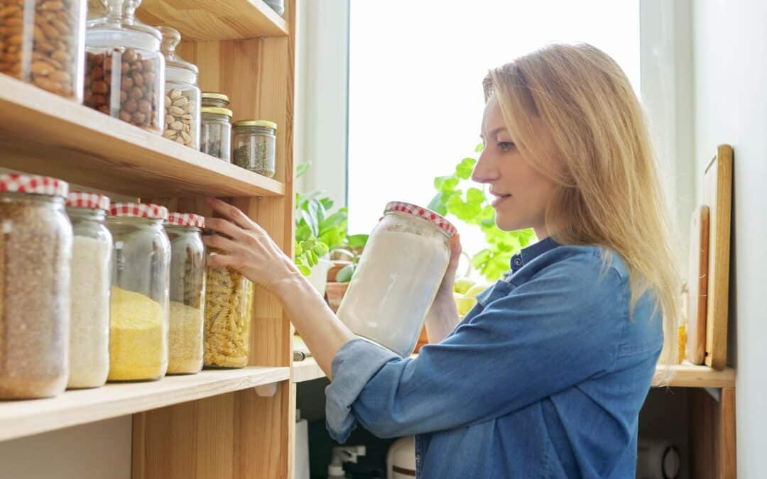 Pantry Moths or Grain Beetles? How to Identify Stored Food Pests