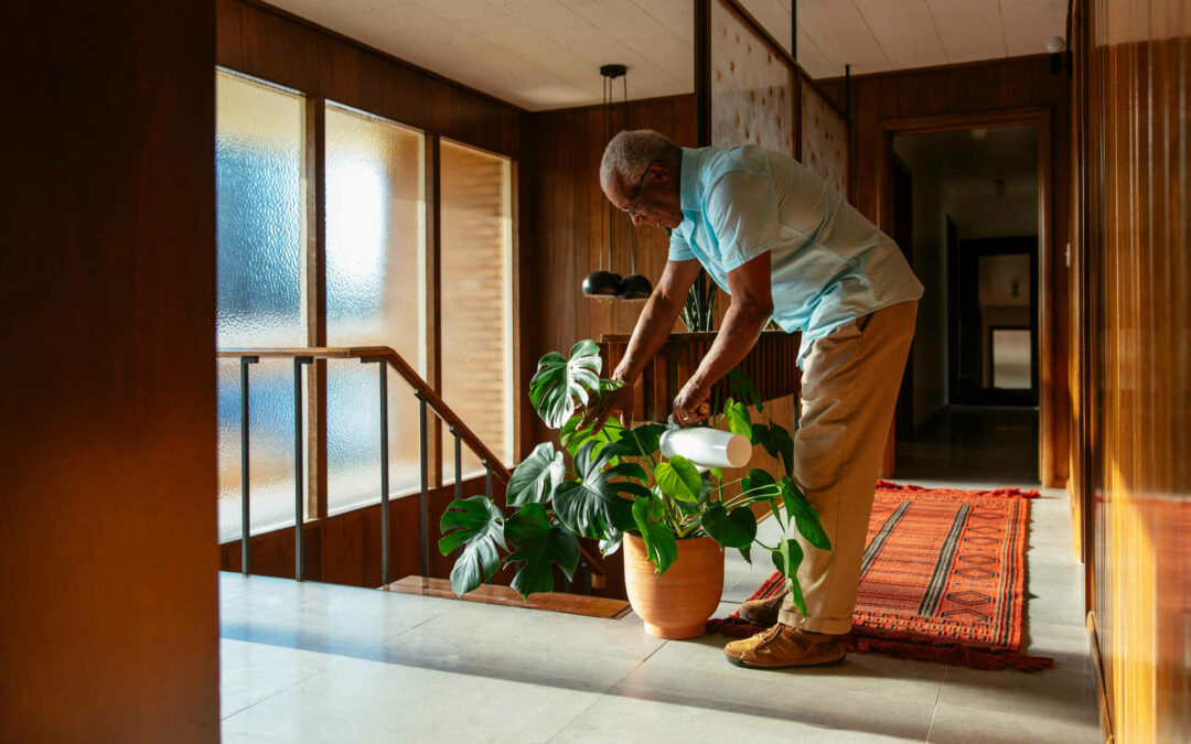 Why Do Centipedes Love Your Houseplants?