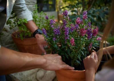 Spring Yard Cleaning Checklist