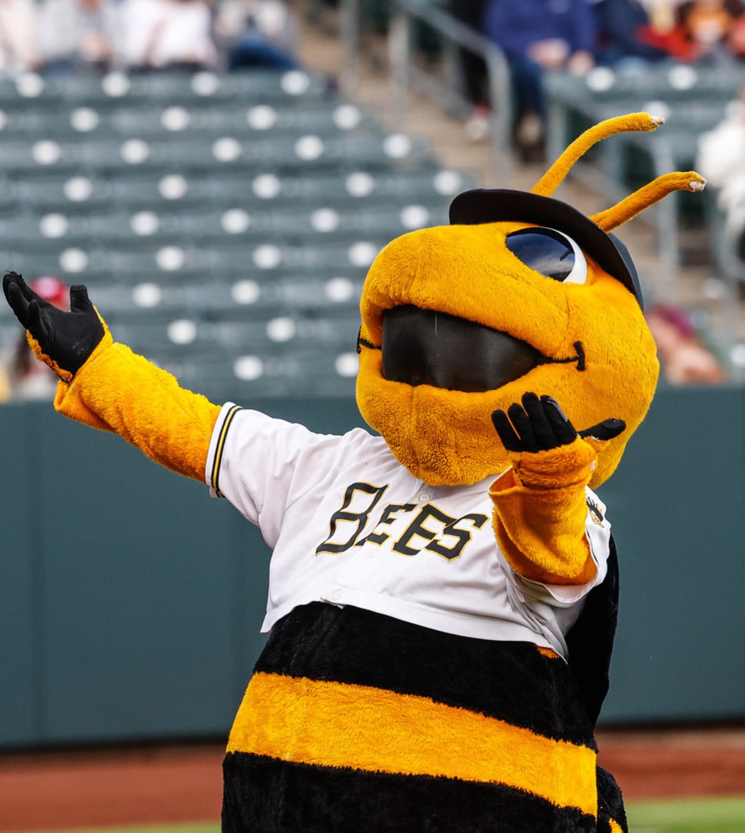 Partnerships-Salt-Lake-Bees-Section 1 1