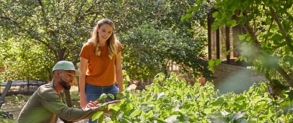 An Aptive Pest Control Specialist In A Green Uniform And Hat Explaining Pest Control Methods To A Woman In An Orange Shirt, Standing In A Lush Garden With Various Green Plants And Trees In The Background.