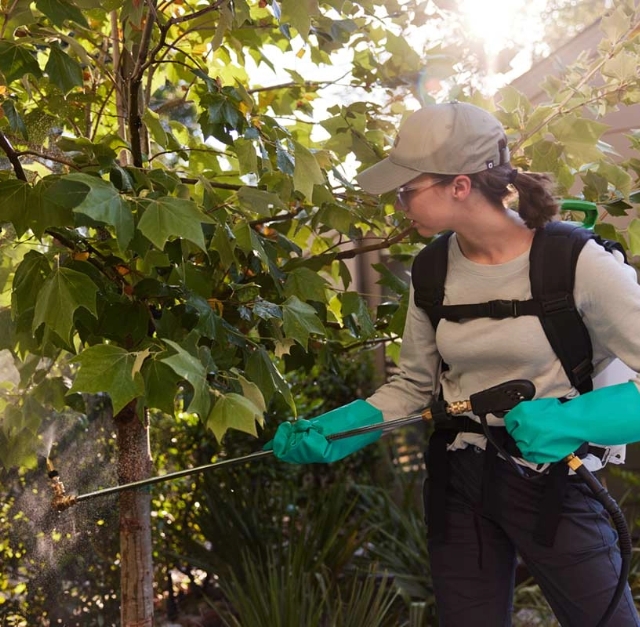 Aptive_Pest_Control_Specialist_Spraying_Pesticide_On_Tree