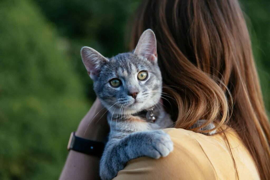 A Gray Cat With Green Eyes Being Held By A Person With Long Brown Hair, Wearing A Yellow Shirt, Looking Over Their Shoulder.