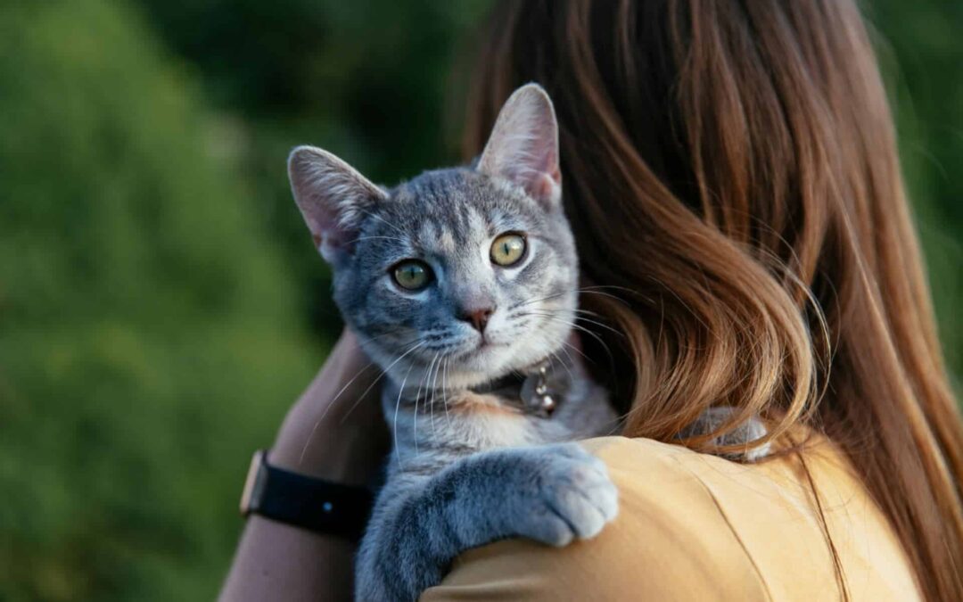Will My Cat Keep Mice Away?