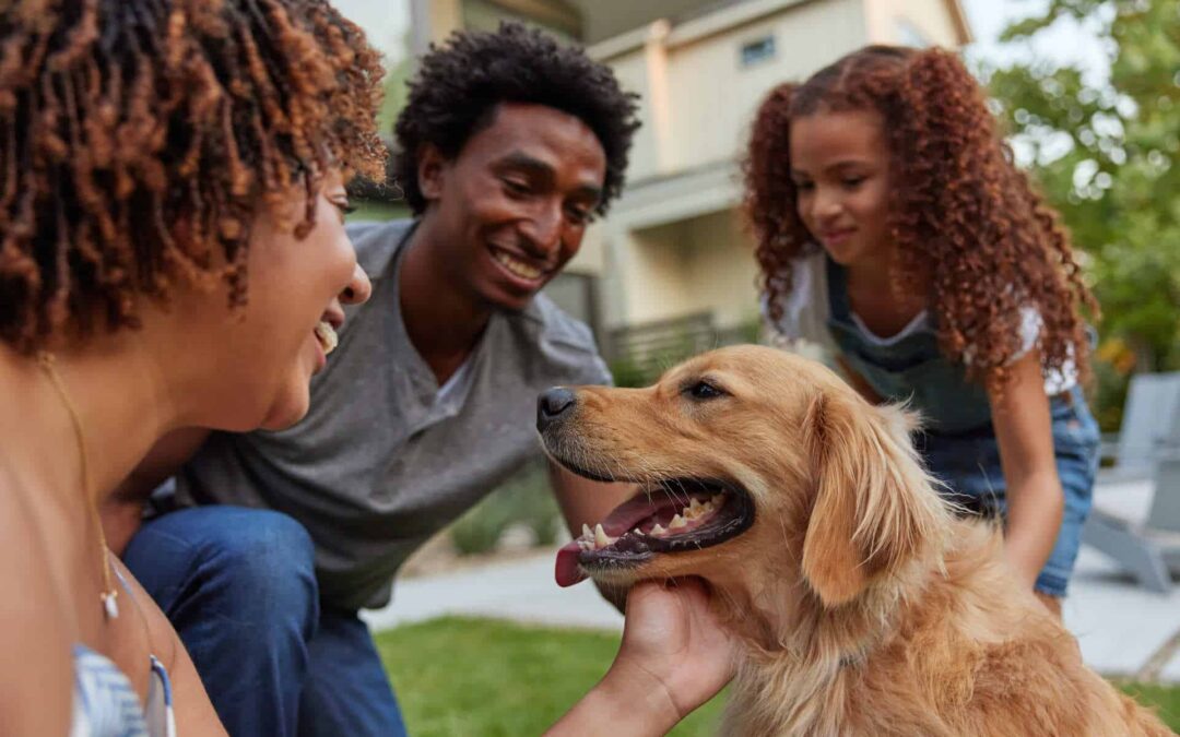 Can Humans Get Fleas?