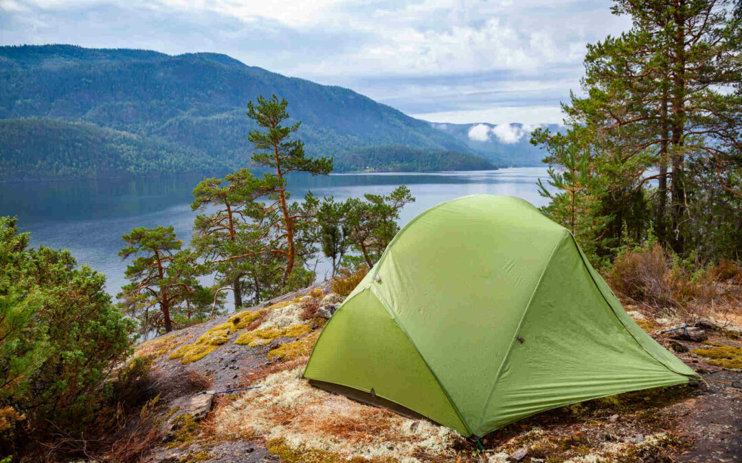 How to Protect Yourself from Ticks while Camping