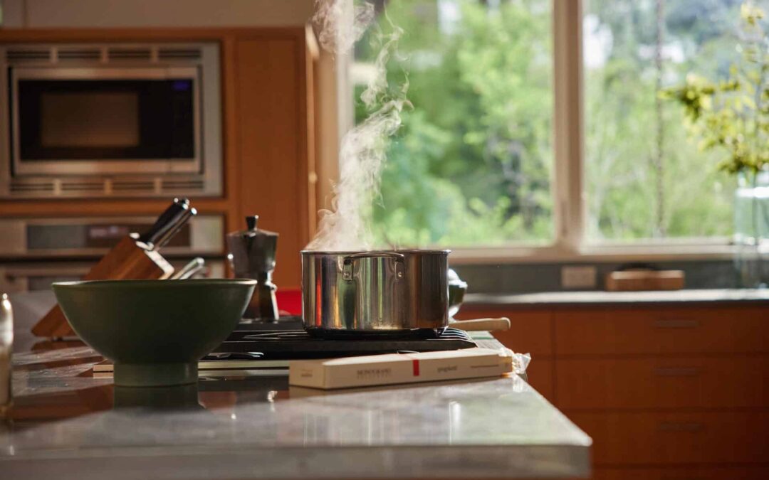 Why Ants are Invading Your Home