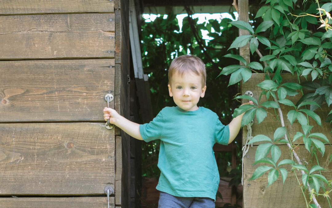 How to Keep Wasps from Building Nests in Playhouses