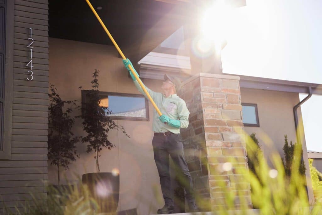 An Aptive Environmental Pest Control Specialist In A Uniform Using A Long Pole To Treat The Exterior Of A House, With Sunlight And Lens Flare Visible.