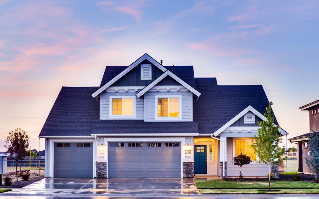 Steps to Take When You Discover Fleas in Your Home