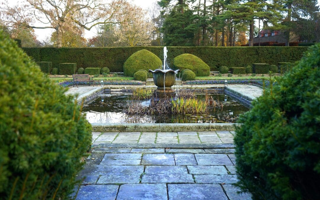 The Role of Water in Mosquito Breeding: Prevention Strategies for Homeowners