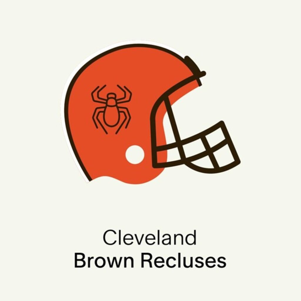 Cleveland Brown Recluses