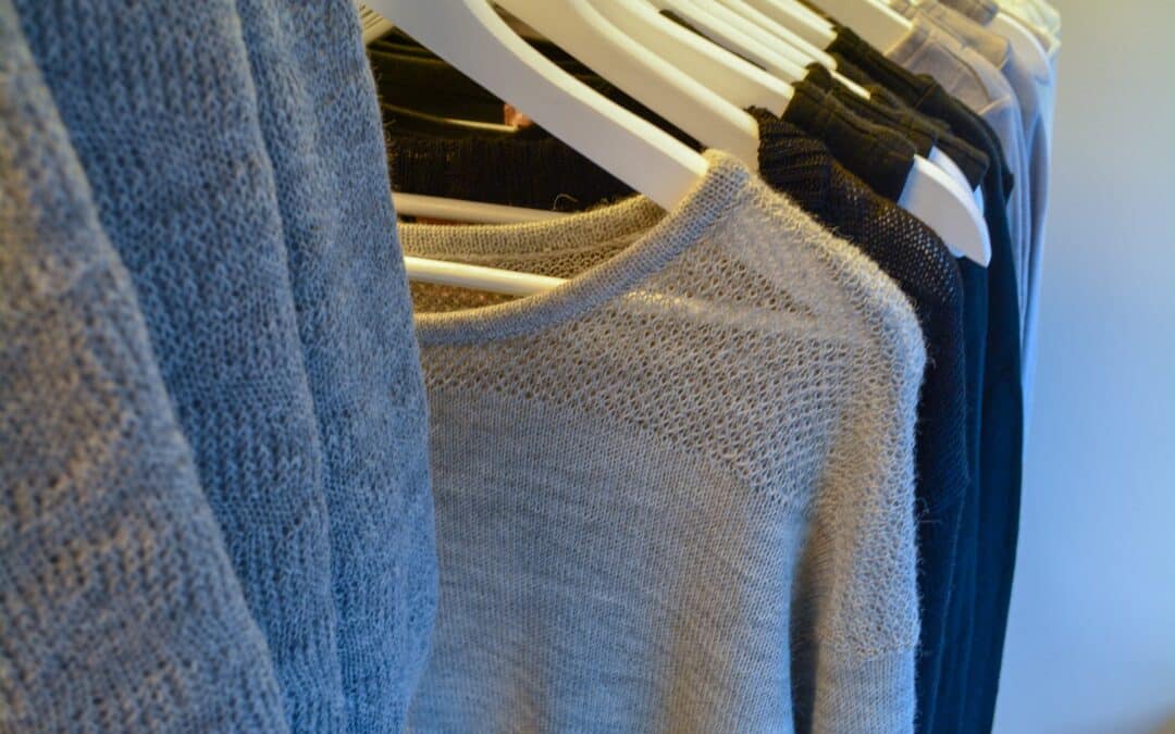 How to Prevent Carpet Beetles from Damaging Your Clothing