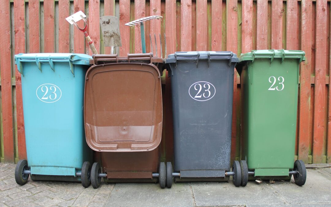Why Flies Lay Eggs in Your Trash Cans and How to Interrupt Their Cycle