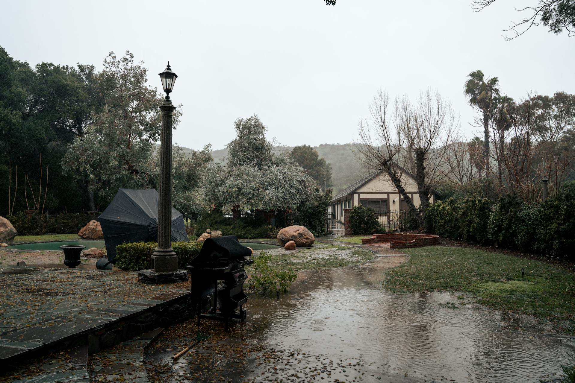 The Connection Between Poor Yard Drainage And Pest Infestations