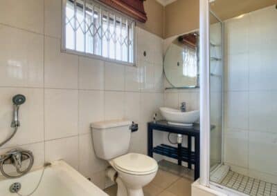 Why Do Bugs Appear in the Bathroom More Than Anywhere Else