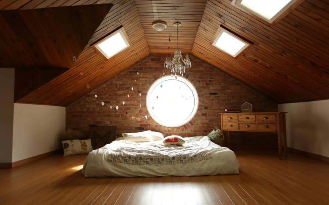 Why Do Roof Rats Prefer Attics to Basements?