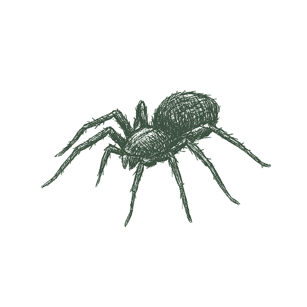 pest image