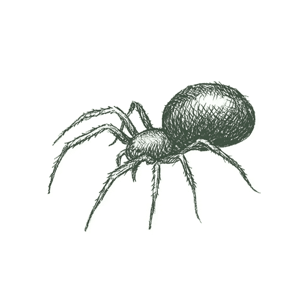 pest image