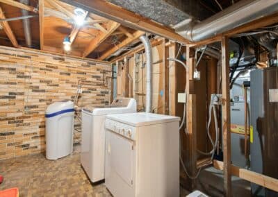 Why Do Basements And Attics Host Different Pest Species