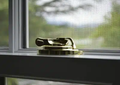 Can Insects Get Through Window Screens?