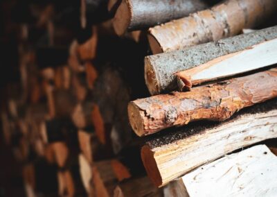 Why Firewood Attracts Household Pests