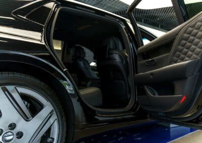 Why Do You Have Bugs in Your Car?