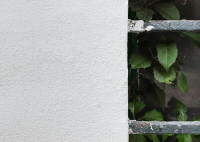 Siding Types and Pest Risk: Vinyl vs Wood vs Stucco