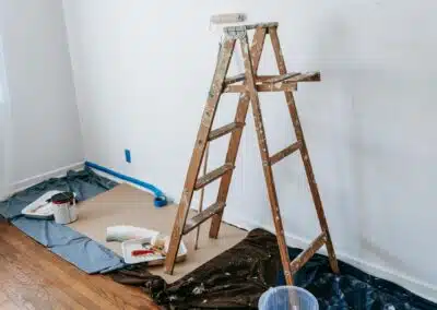 Remodeling Projects and Pest Surprises