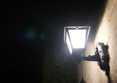 The Impact of Outdoor Lighting on Insect Behavior