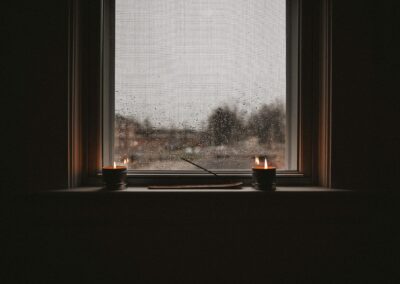 How Humidity Levels Influence Pest Survival Indoors