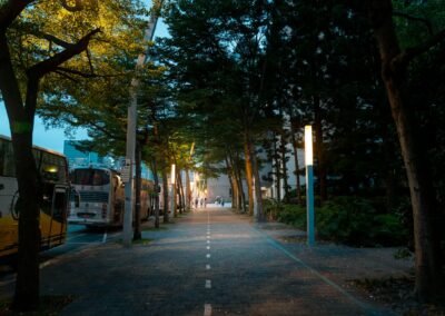 How Light Pollution Alters Insect Migration Patterns