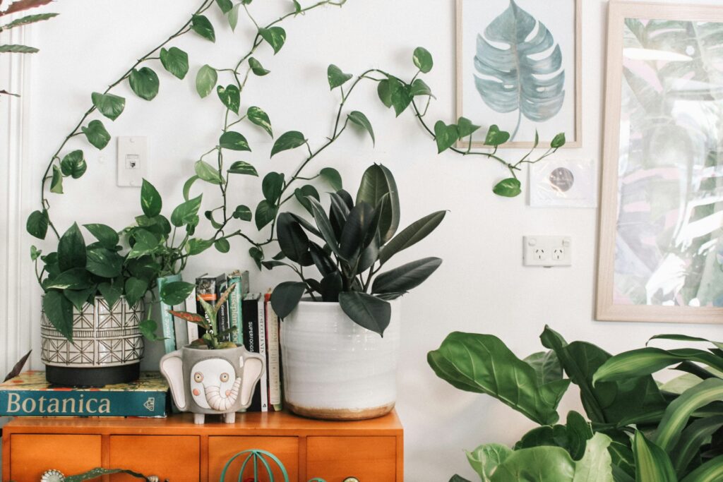 A Bright Indoor Scene Featuring Several Potted Houseplants On And Around An Orange Wooden Cabinet. A Trailing Pothos Vine Climbs The Wall, A Rubber Plant Sits In A Large White Ceramic Pot, And Another Leafy Plant Is In A Patterned Pot Beside Several Books. A Small Elephant-Shaped Planter Holds A Thin-Leaved Plant. Framed Botanical Artwork Hangs On The Wall Above, And Lush Green Leaves From Additional Plants Fill The Right Side Of The Image.