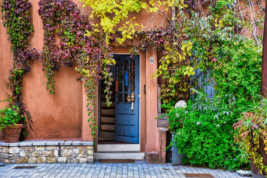 A Vibrant Blue Wooden Door Framed By A Terracotta Wall And Surrounded By Cascading Green, Yellow, And Purple Vines, With House Number 5 Above The Entrance And A Small Stone Staircase Visible Inside.