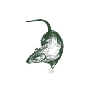 E0Bb615A56534Afe8C3052048D9C4Fe1