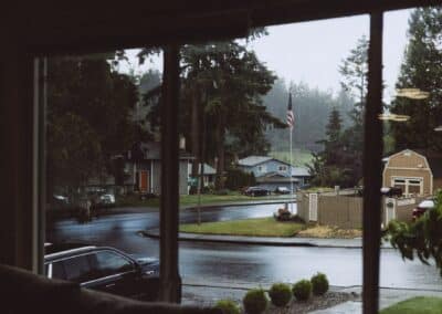 How to Protect Your Home From Rodents and Bugs After Rain